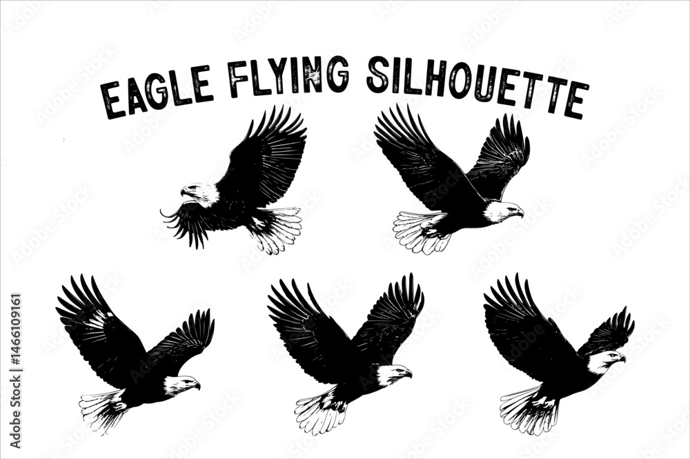 Obraz premium Flying Eagle Silhouette Vector on White Background.