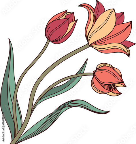 Seamless floral design with red tulip flowers, a vector illustration for spring design