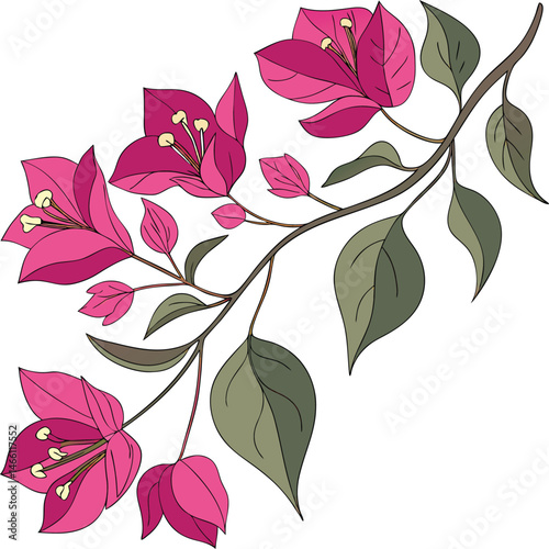 floral design with pink rose flowers and leaves in a vintage vector design