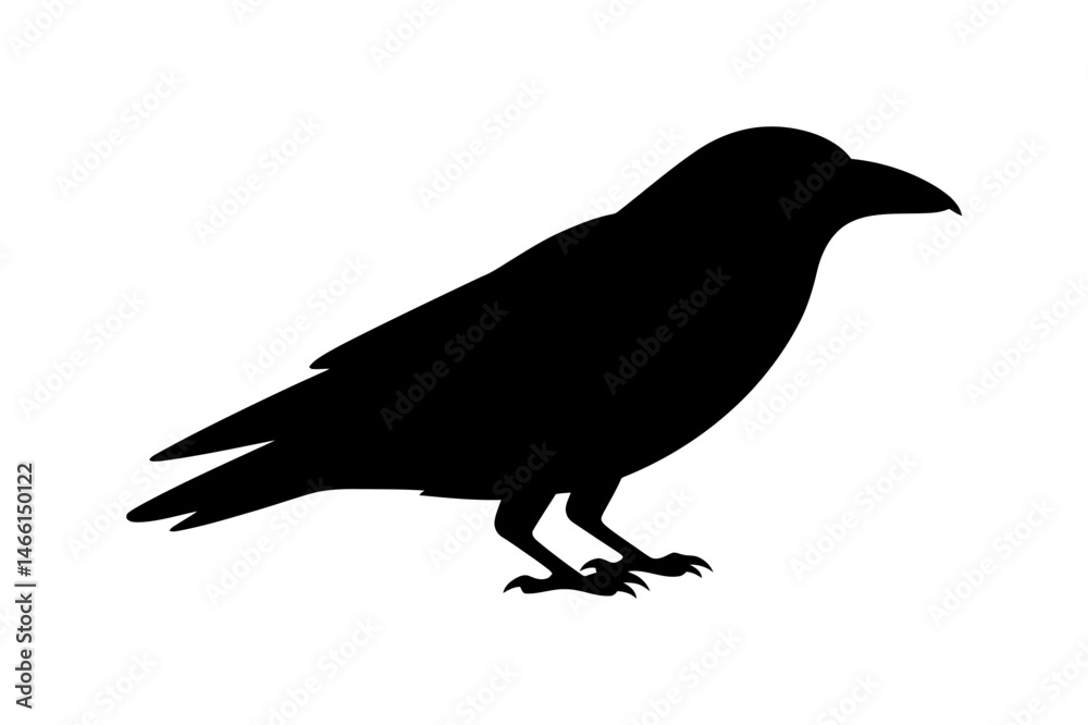 Fototapeta premium Black crow silhouette vector graphic illustration
