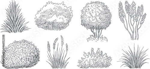 Set of hand drawn landscape plant outlines for design