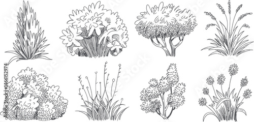 Set of hand drawn landscape plant outlines for design