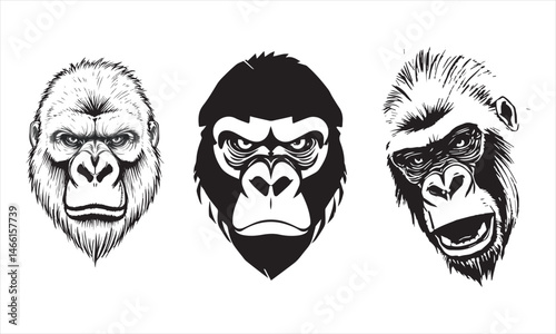 Face of gorilla isolated on white. Vector concept illustration