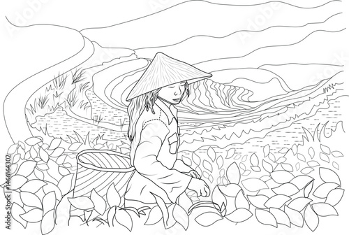 Lady Plucking Tea Leaves in a Tea Plantation Coloring Page, Black and white line art illustration perfect for a coloring book page, depicting a woman wearing a conical hat while harvesting tea 
