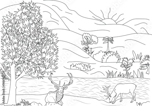 Elk in Canyon Landscape Line Drawing, Black and white line drawing illustration depicting two elk in a natural canyon environment. One elk rests peacefully under a tree, while another drinks from 