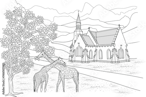 Giraffe Eating Leaves Outside the Church Line Art, Black and white line art illustration depicting two giraffes grazing on leaves from a tree in a field with a church building and mountains in the 
