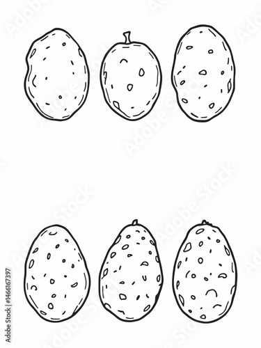 Fresh potatoes line art modern artistic expression.eps
