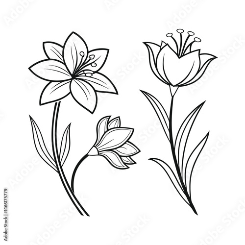 simple line drawings, minimalist flower vector art illustration