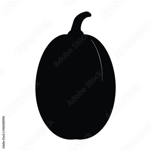 spaghetti squash vector silhouette icon - perfect for food, farming, or nutrition concepts.