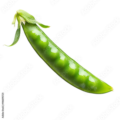 Fresh green pea pod with vibrant color and smooth texture, perfect for healthy dishes and garnishes