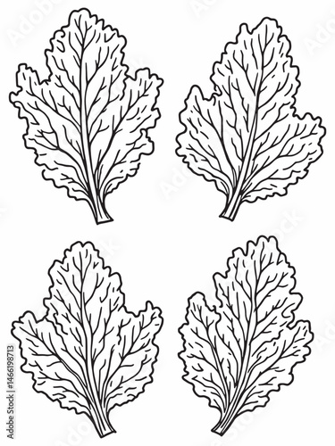 Kale line art minimalist design for modern decor.eps
