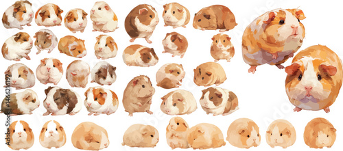 guinea pig watercolor clipart
