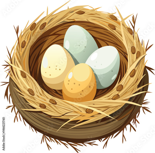 Bird nest with eggs