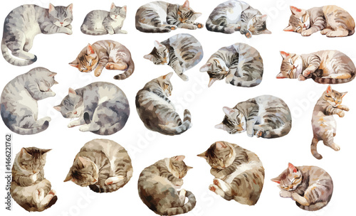 sleepy gray tabby watercolor clipart