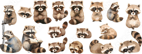 baby racoon watercolor clipart