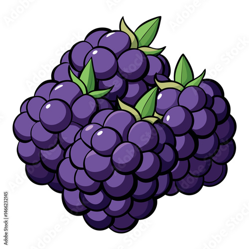 Cartoon blackberries display their vibrant purple color with accompanying green leaves against a white background