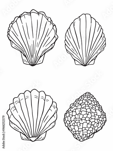 seashell line art simple yet sophisticated clean modern style.eps