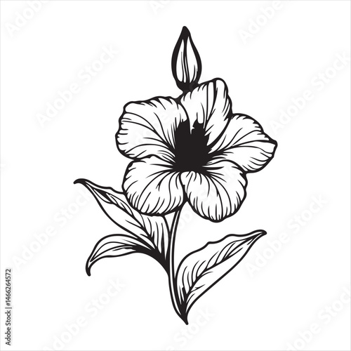 Wallpaper Mural Hand draw decorative wedding sketch flower  Torontodigital.ca