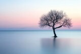 Minimalist coastal sunset scene in Sicily, tree silhouette and calm sea