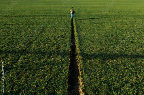 Farmer standing in wheat field examining crop.