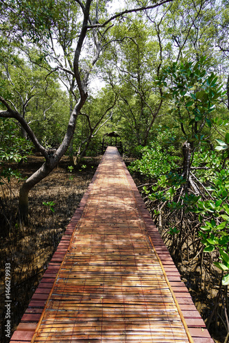 Mangrove swamp conservation to help native species and ocean life and fish stocks recover and control erosion.