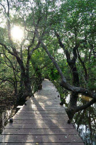 Mangrove swamp conservation to help native species and ocean life and fish stocks recover and control erosion.