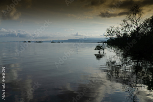 Mangrove swamp conservation to help native species and ocean life and fish stocks recover and control erosion.