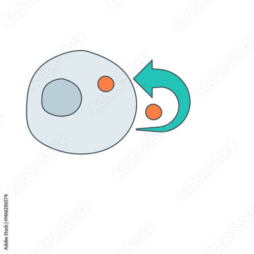 Signaling and target cell