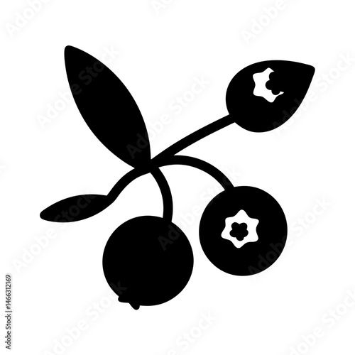 bilberry vector silhouette icon, black and white illustration of fruits.