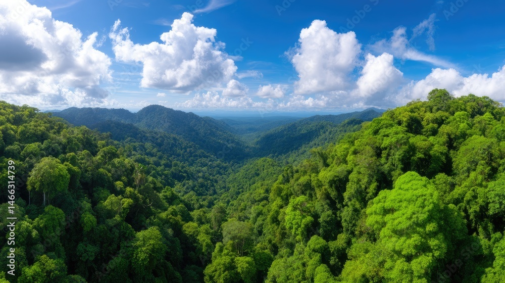Obraz premium Climate Change Environmental Policy Conservation. Lush green jungle landscape under a bright blue sky with scattered clouds.