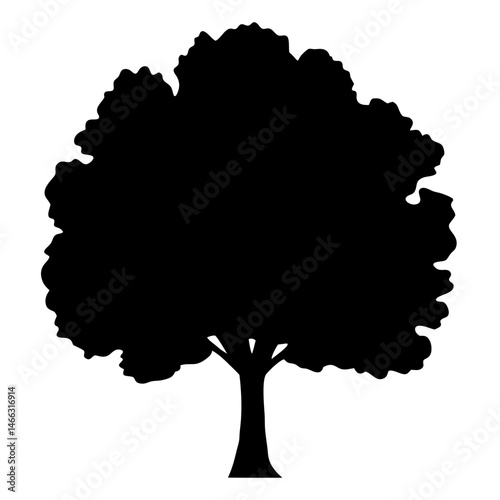 cottonwood tree vector silhouette icon, black and white illustration of trees.