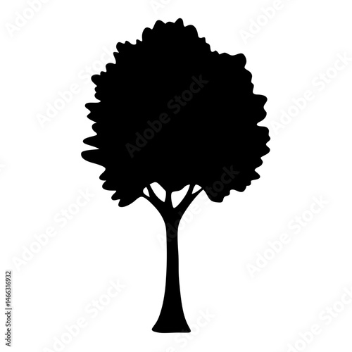 cottonwood tree vector silhouette icon, black and white illustration of trees.