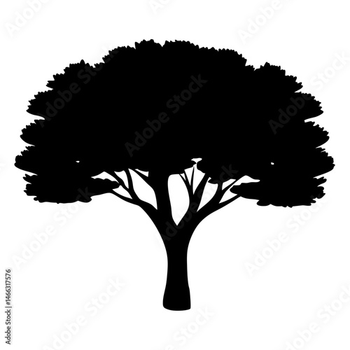 cypress tree vector silhouette icon, black and white illustration of trees.