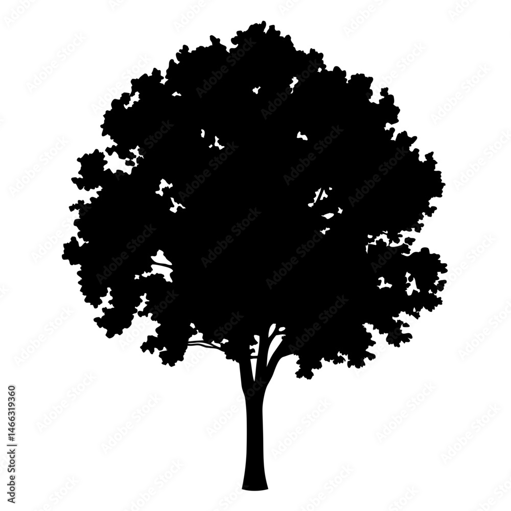 Fototapeta premium elm tree vector silhouette icon, black and white illustration of trees.
