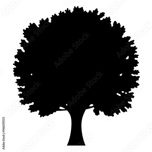 elm tree vector silhouette icon, black and white illustration of trees.