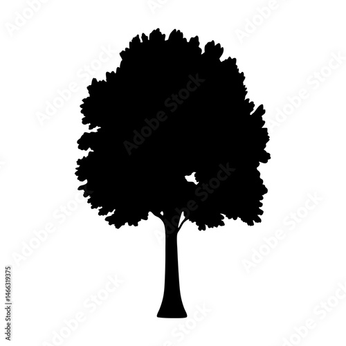 elm tree vector silhouette icon, black and white illustration of trees.