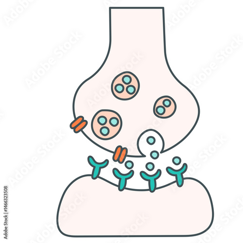 Synaptic