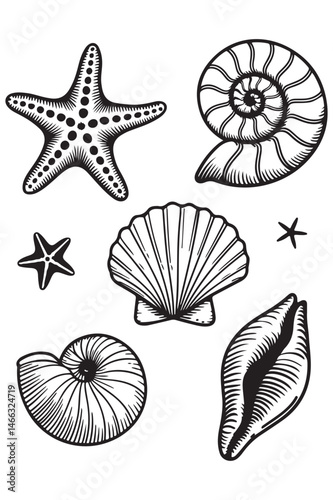 A set of silhouette illustrations of various sea creatures in hand drawn style