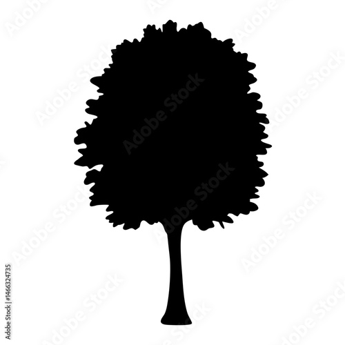 hornbeam tree vector silhouette icon, black and white illustration of trees.