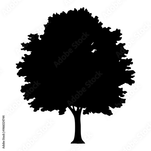 hornbeam tree vector silhouette icon, black and white illustration of trees.