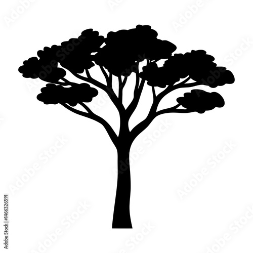 juniper tree vector silhouette icon, black and white illustration of trees.