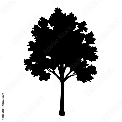 maple tree vector silhouette icon, black and white illustration of trees.
