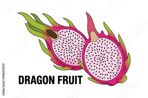 colorful dragon fruit vector icon