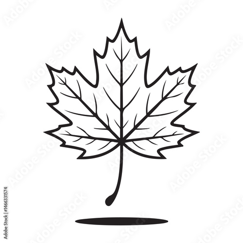 maple leaf outline black and white simple minimalist botanical natural vector illustration