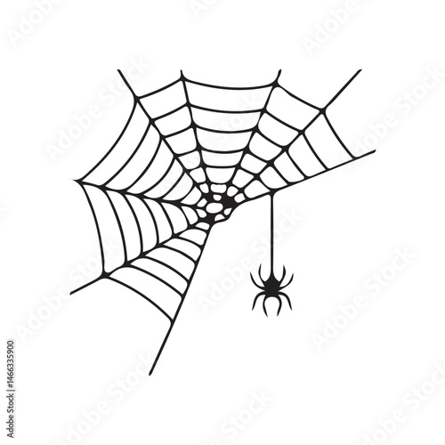 spider on web