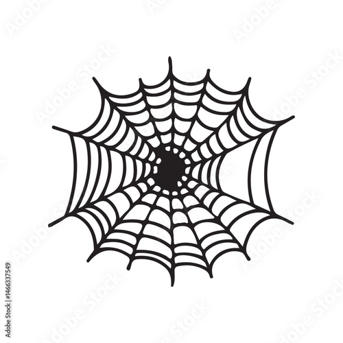 spider and web