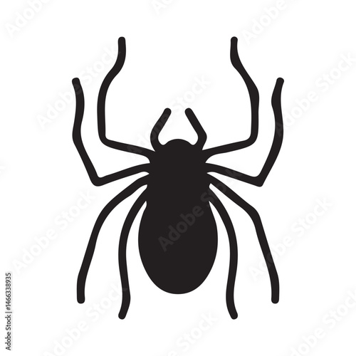 vector illustration of a spider
