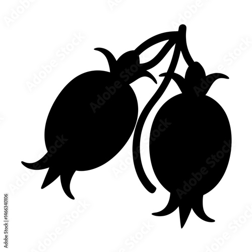 rosehip vector silhouette icon, black and white illustration of fruits.