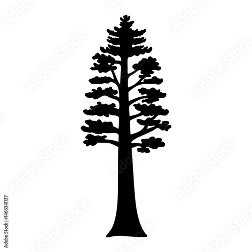 sequoia tree vector silhouette icon, black and white illustration of trees.