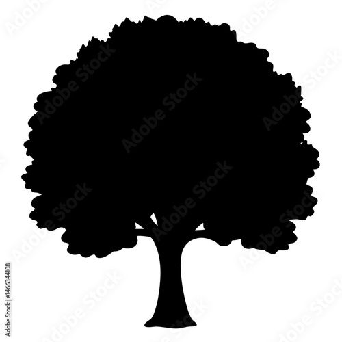 sycamore tree vector silhouette icon, black and white illustration of trees.